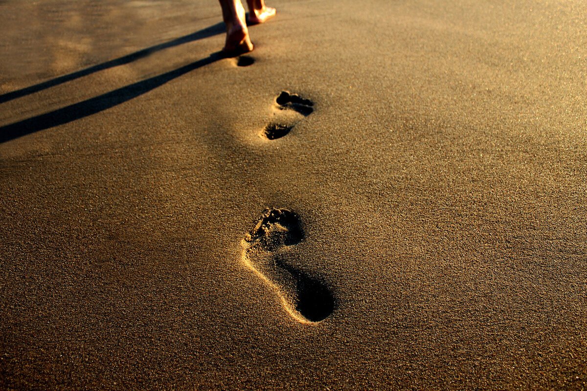 Следы на песке у моря