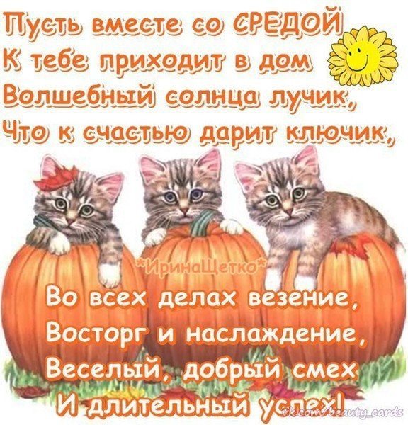 Поздравление со средой прикольное