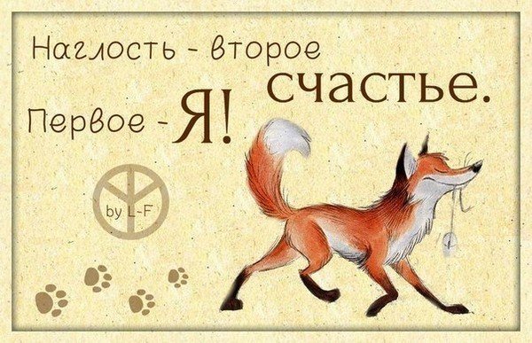Голубь клюет
