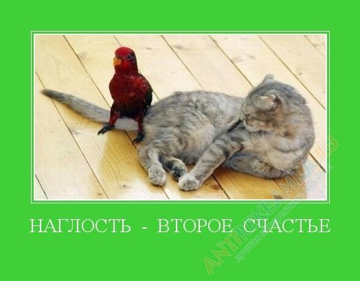 Демотиватор жизнь удалась
