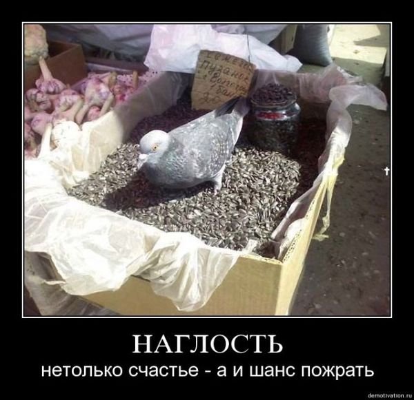 Открытки на все случаи жизни бесплатно прикольные