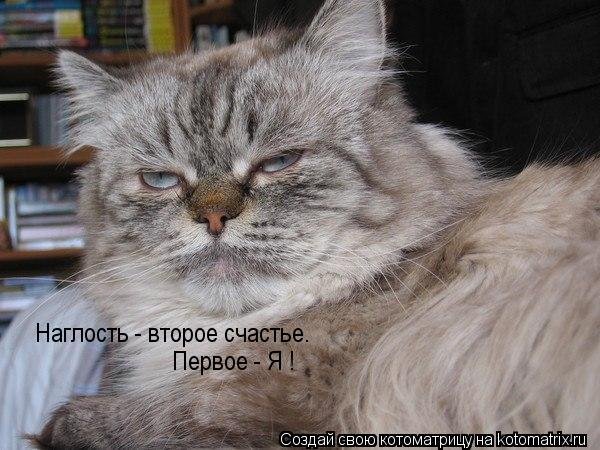 Наглость второе счастье