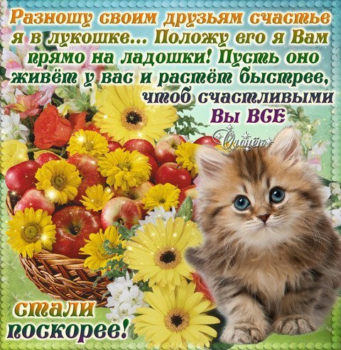 РАЗНОШУ счастье картинки