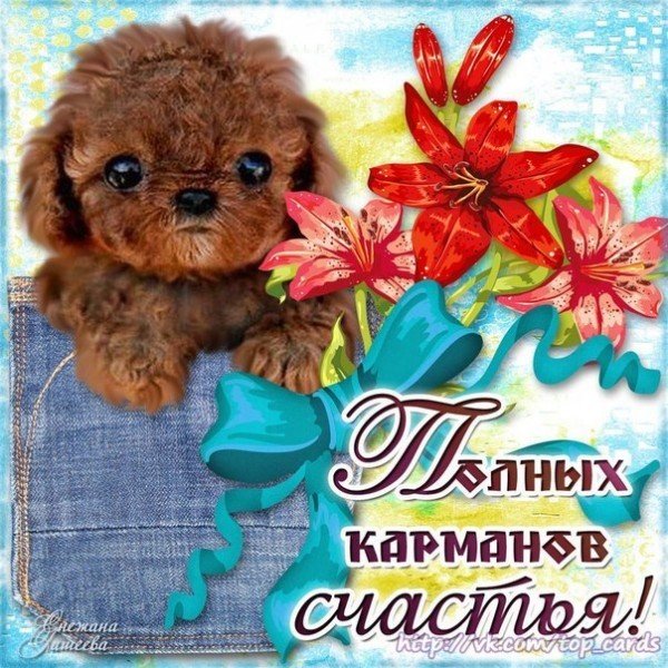Открытки с поздравлениями просто так
