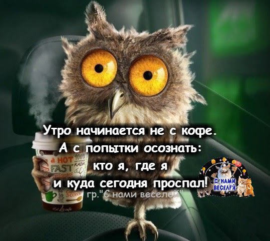 Этро начинается начинается