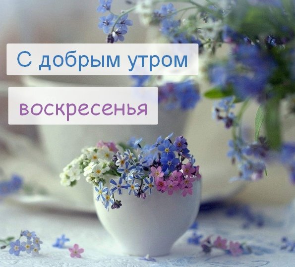 Доброе утро воскресенье прикольные
