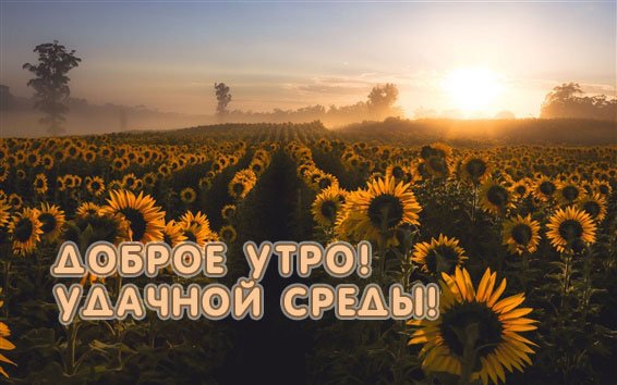 Доброе утро среда