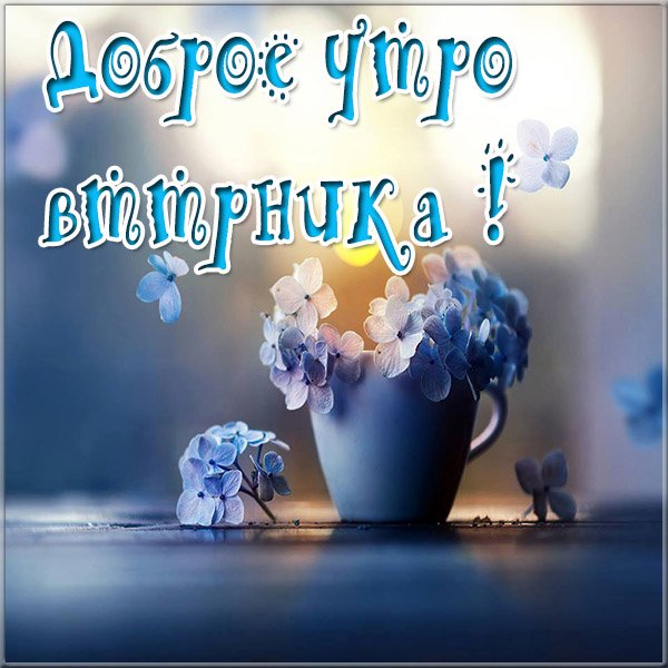 С добрым утром вторника