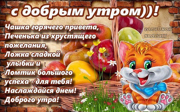 Пожелания доброго утра и привет от меня