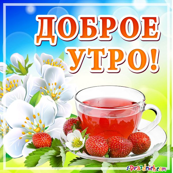Просыпайтесь с добрым утром