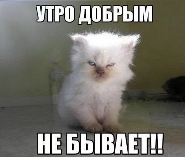 Недоброе утро