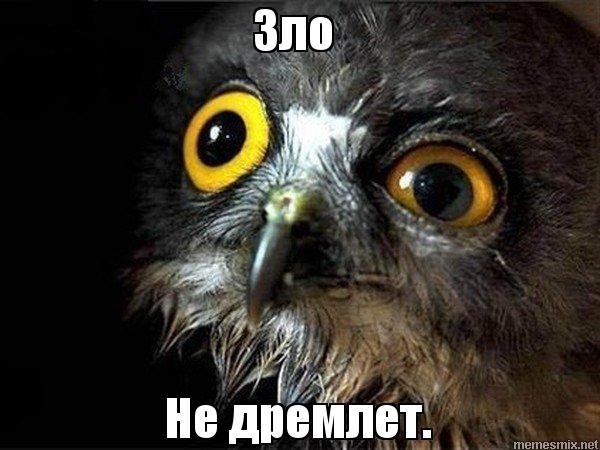 Зло не дремлет