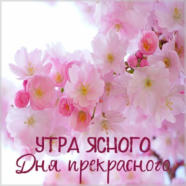 Утро ясногодня пекрасеоно