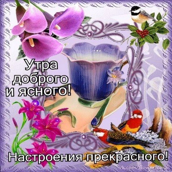 Доброго утра и прекрасного настроения