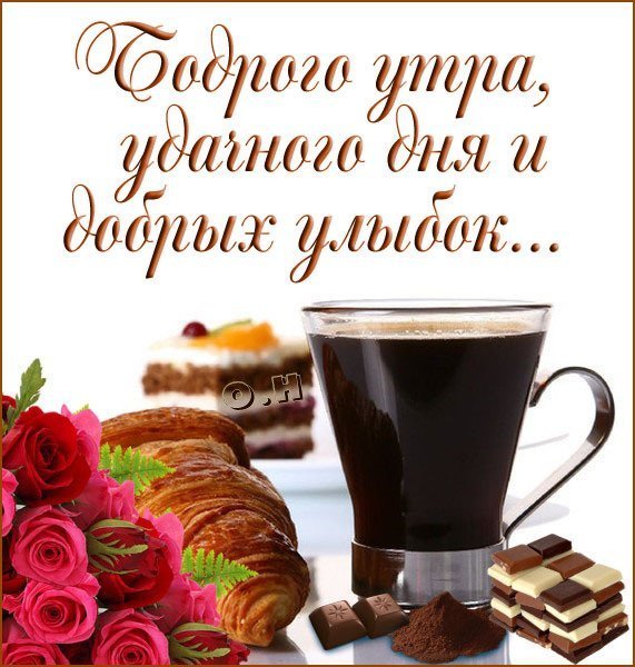 Бордовое доброе утро