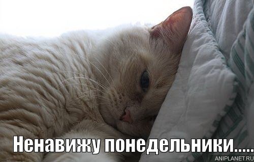 Картинка ненавижу утро (41 фото)