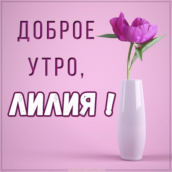 Доброе утро с лилиями
