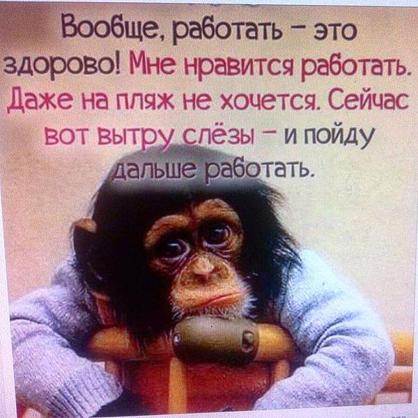 И снова утро
