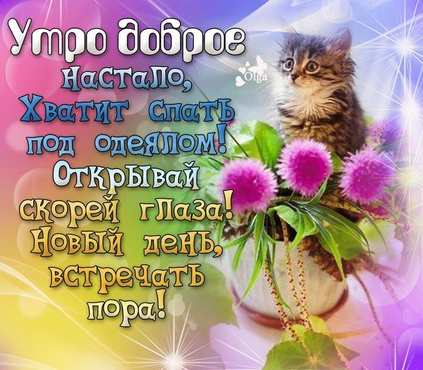 Проснулись УЛЫБНУЛИСЬ доброе утро