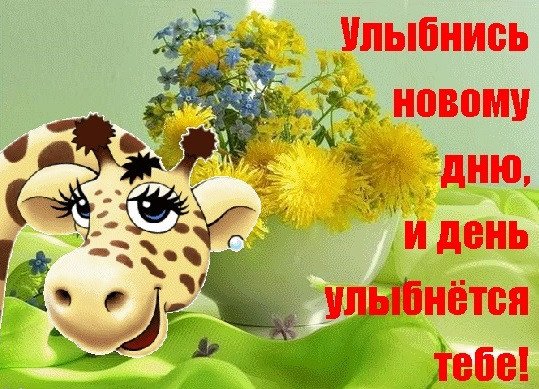 Улыбнемся новому Дню