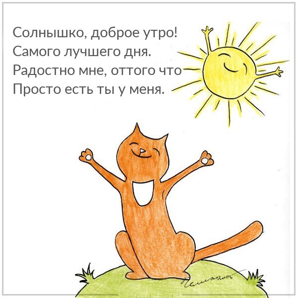 День мурлыканья и потягивания