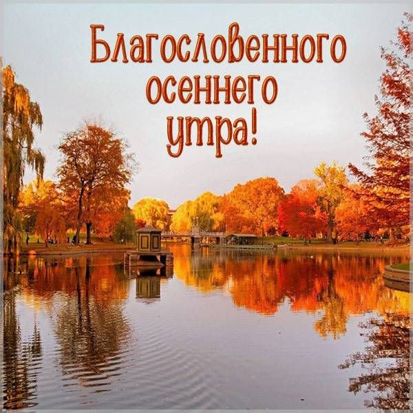 Летние цветы