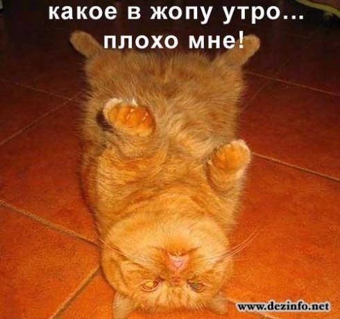 Мужчины если у вас с утра плохое настроение