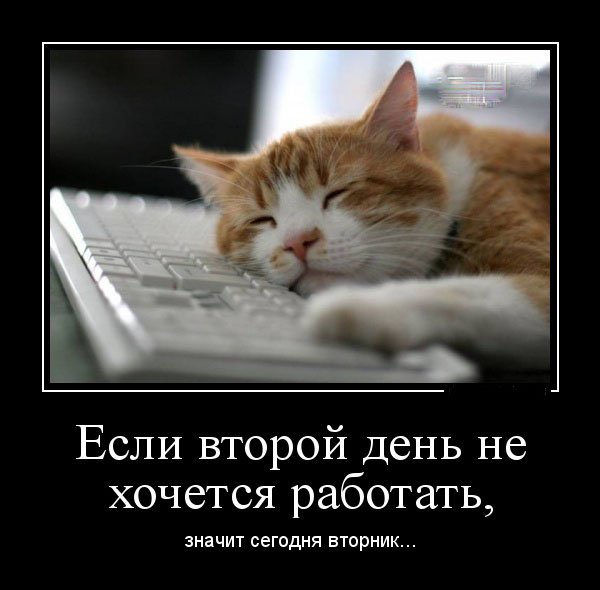 Шутки про вторник