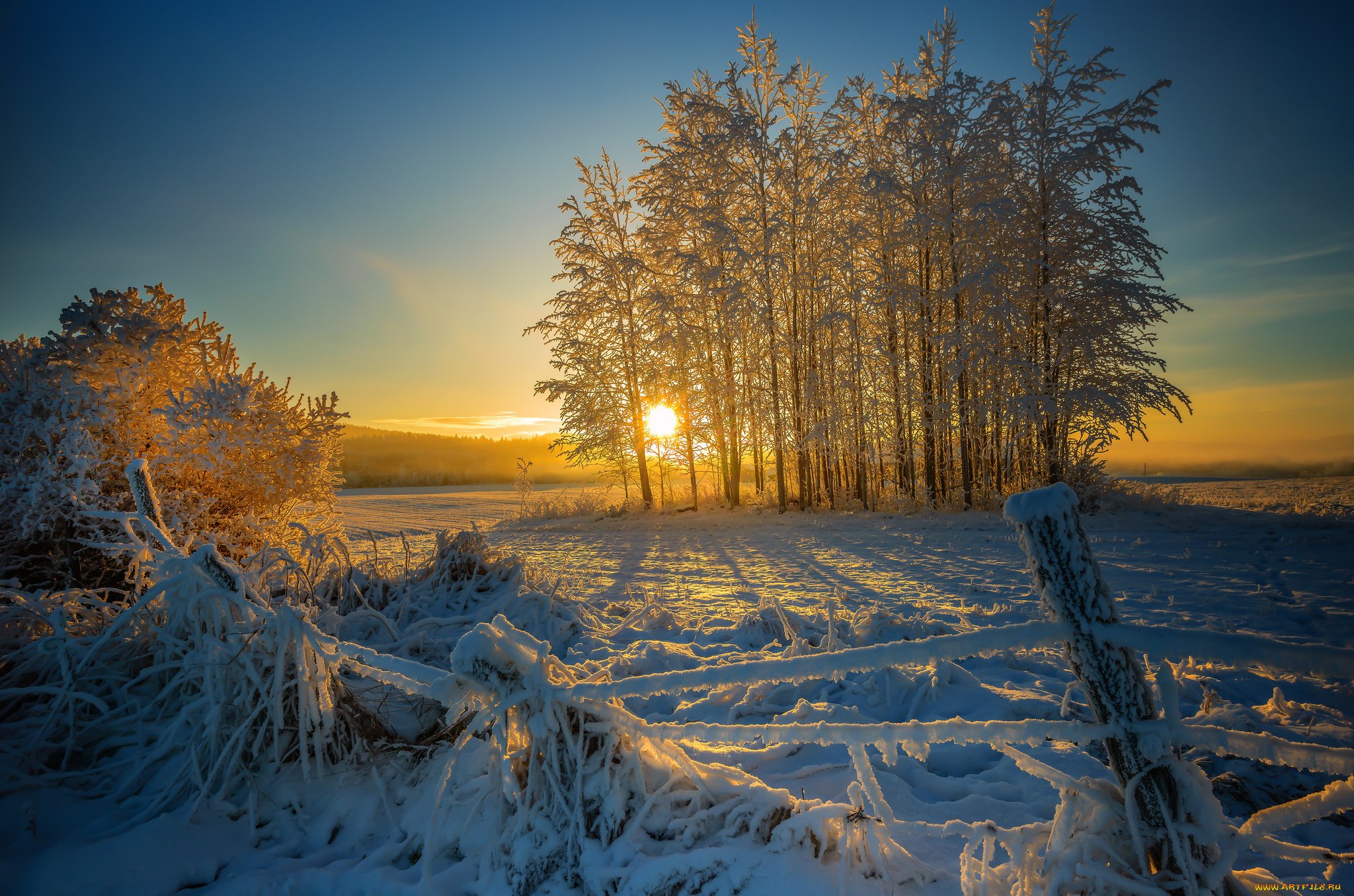 Теплая снежная зима. Зима солнце. Зимний пейзаж. Зимнее утро. Рассвет зимой.