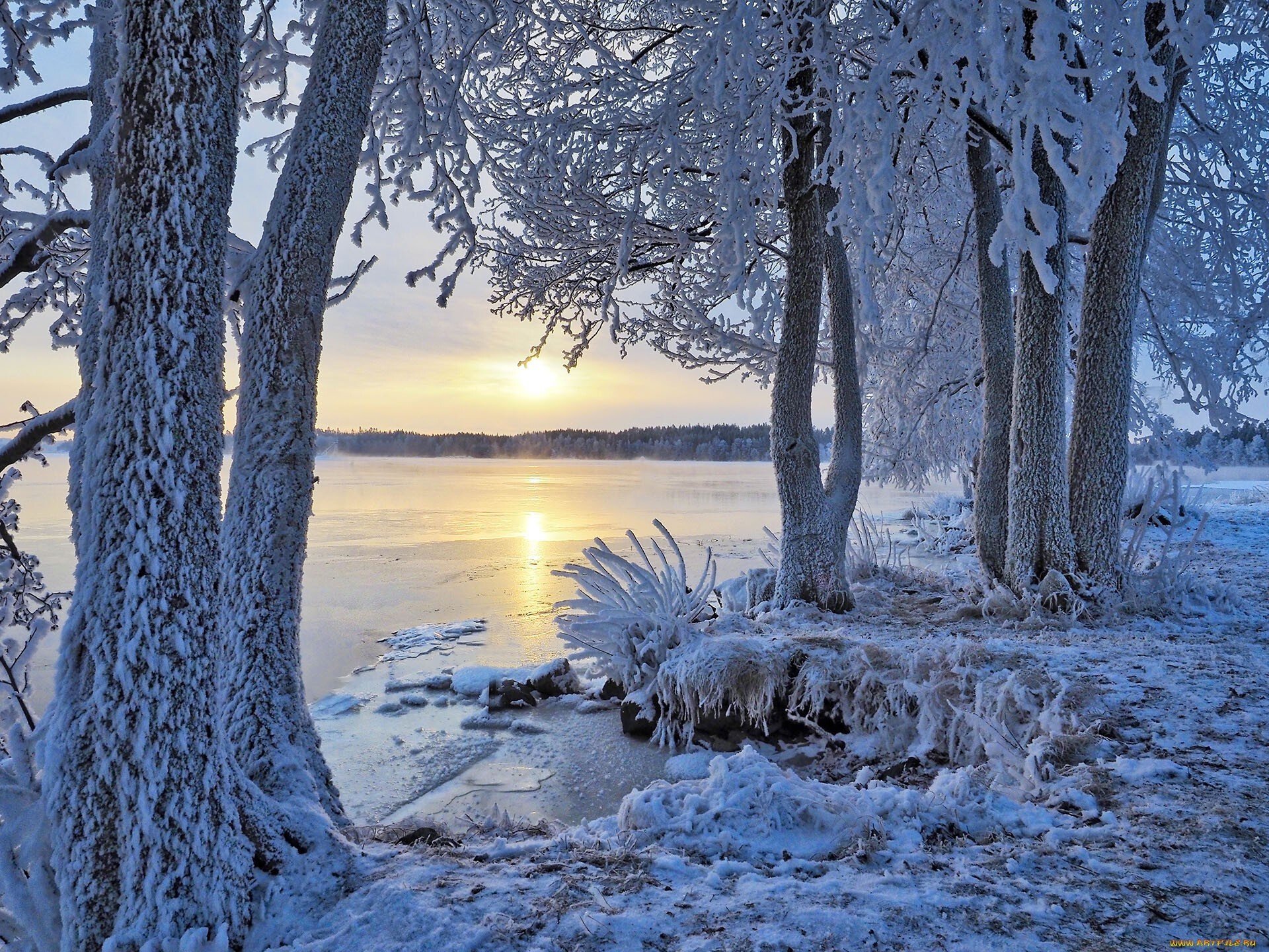 Зимнее утро. Зима. Зимний утренний пейзаж. Красивые виды зимы.