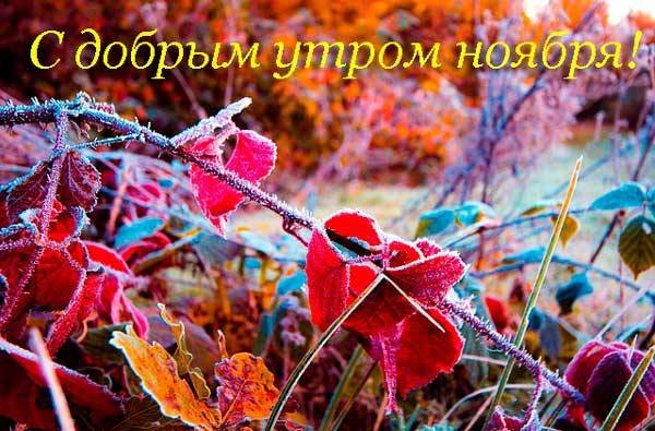 Прекрасного февральского утра