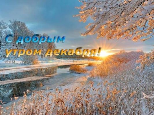 Доброе декабрьское утро