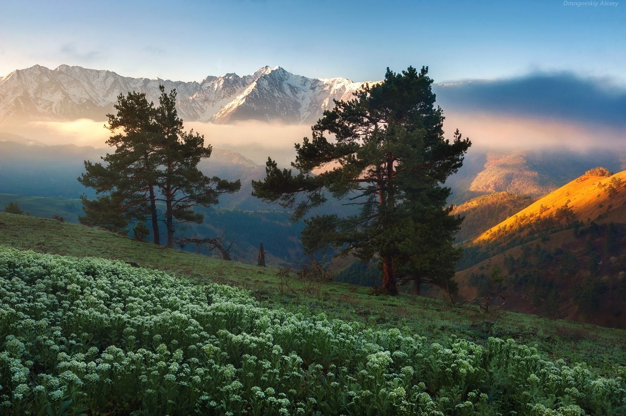 Гора тютчева. Утро в горах. Рассвет в горах. Рассвет в горах Кавказа. Горы солнце.