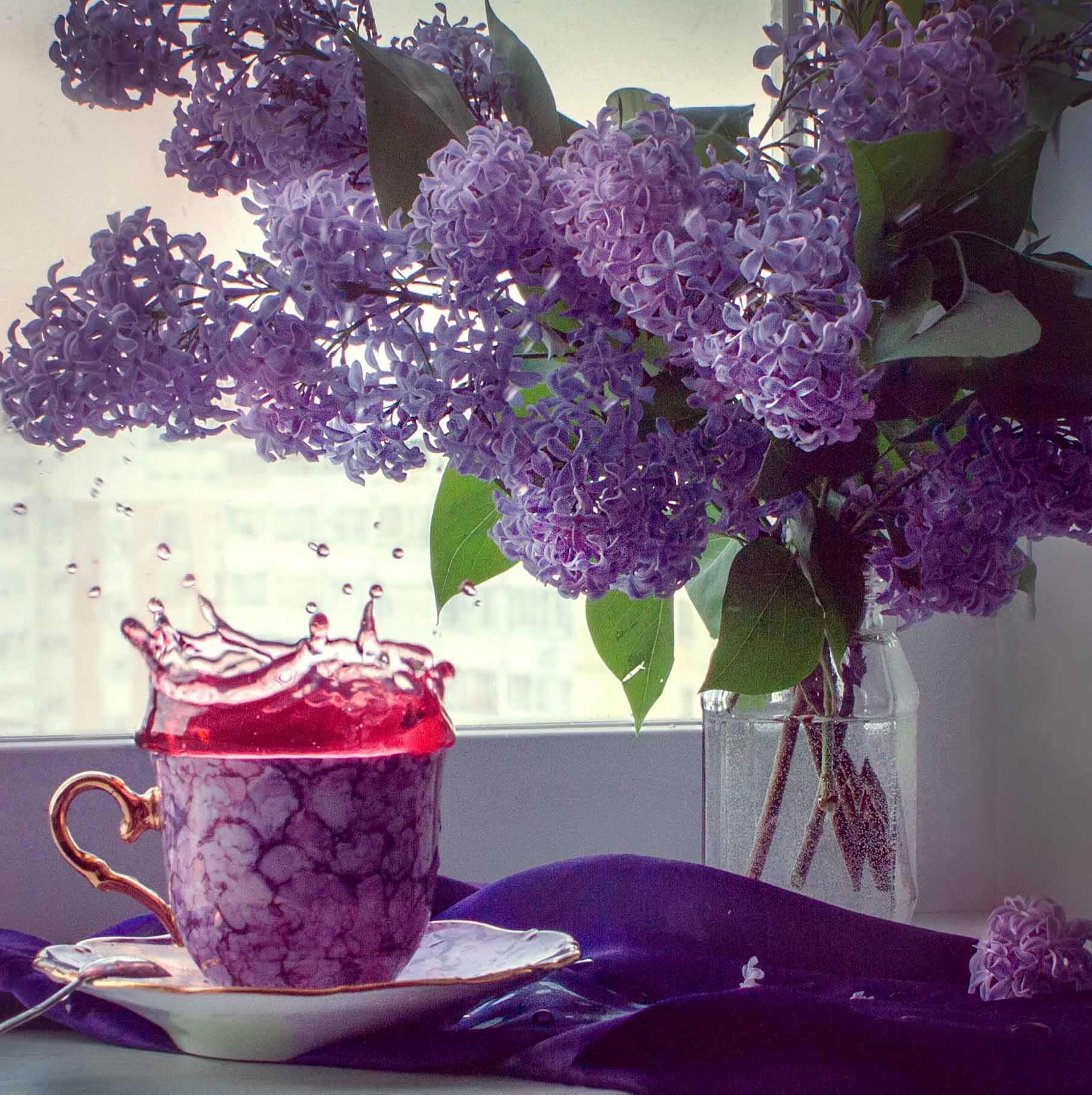 Картинка фиолетовое утро (38 фото) » Юмор, позитив и много смешных картинок