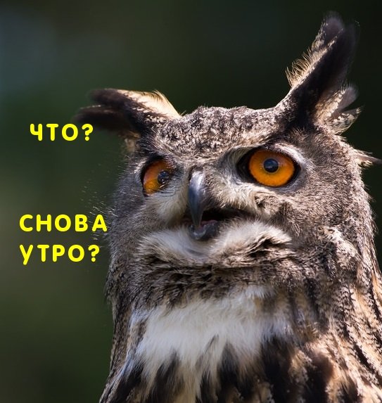 Опять утро картинки прикольные