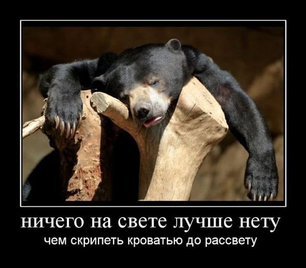 Утро понедельника приколы