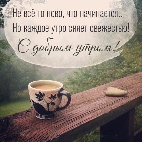 Мудрые слова с добрым утром