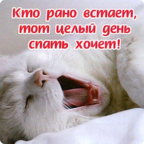 Пора вставать доброе утро