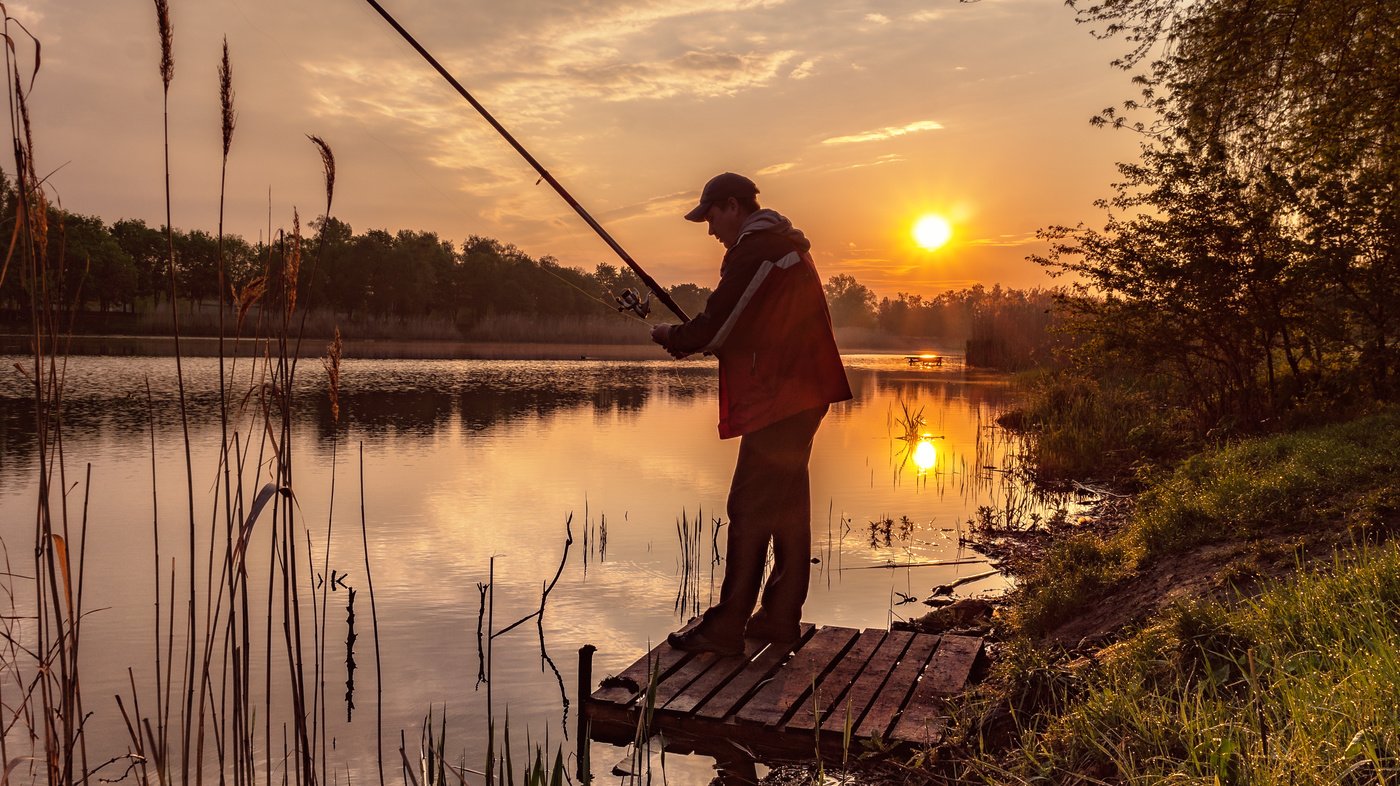 Предложение вижу озеро. Рыбалка пейзаж. Рыболовные пейзажи. Утро на рыбалке. Летняя рыбалка.