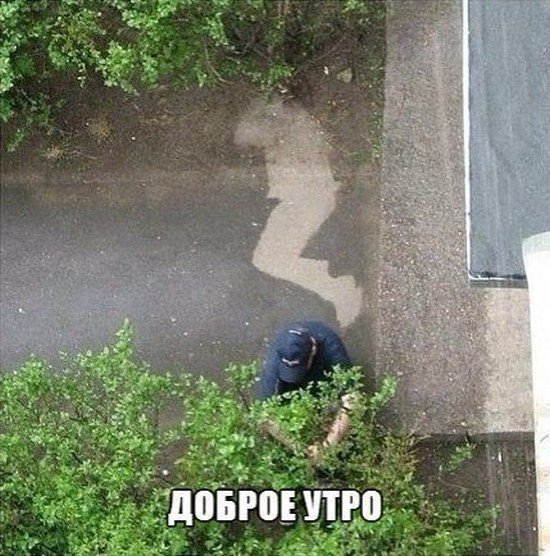 Алкаш с утра картинки прикольные