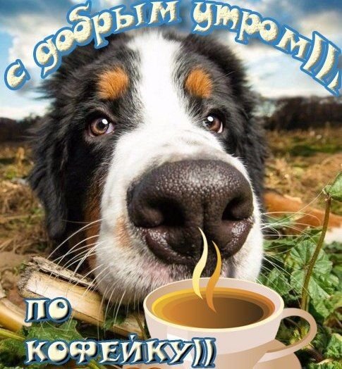 Проснулись доброе утро