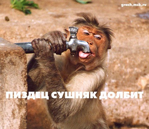Доброе утро алкоголики