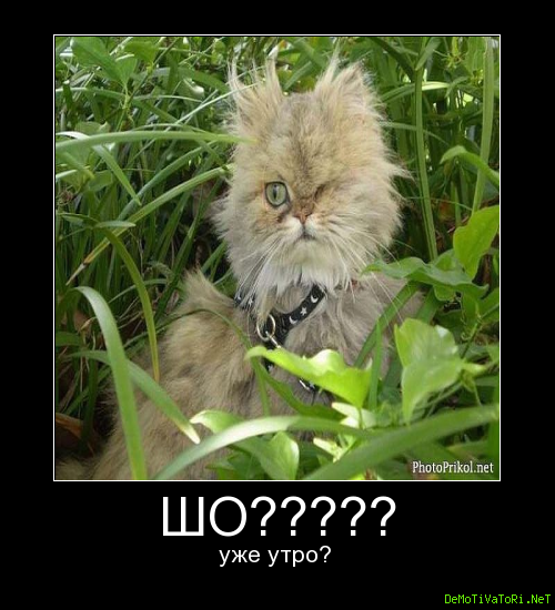 Разве уже утро
