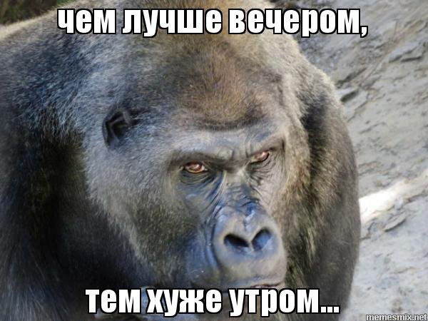 Плохое утро Мем