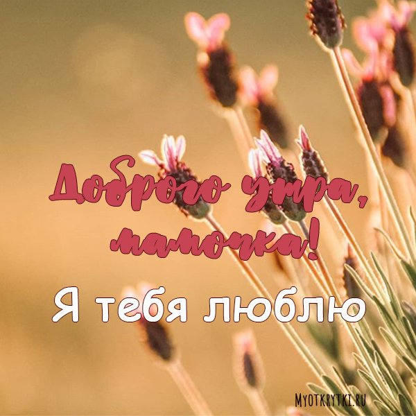 Доброе утро мамочка смешные