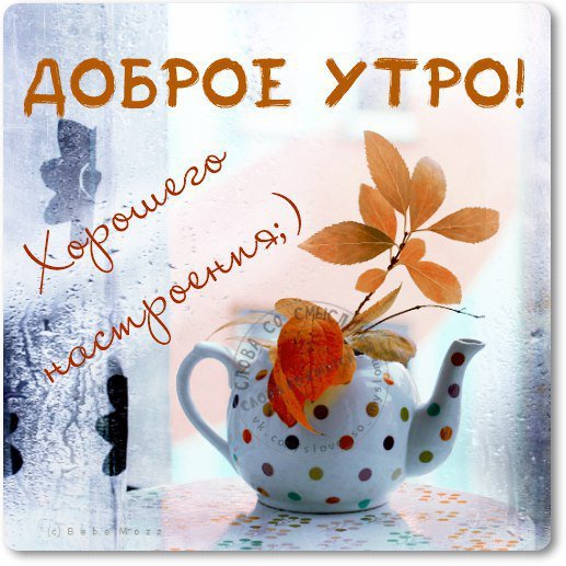 Доброе ноябрьское утро и хорошего дня