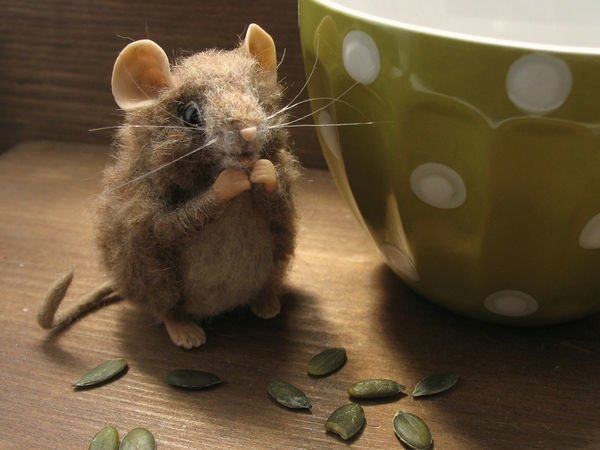 Доброе утро мышь