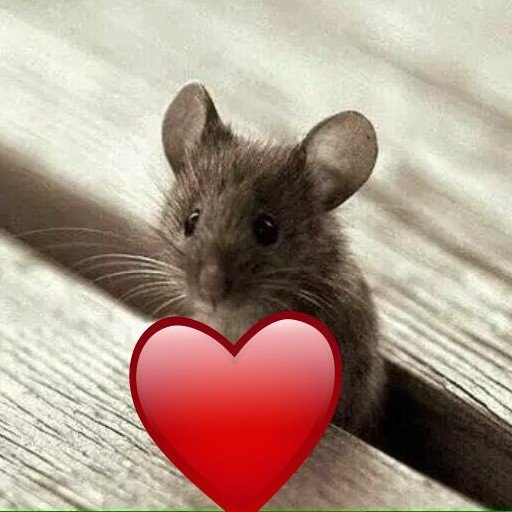 Мышонок с сердечком