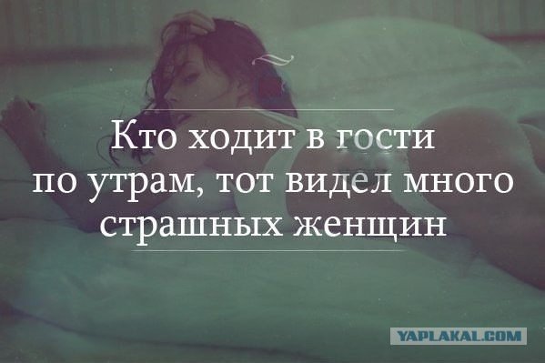 Промокший кот