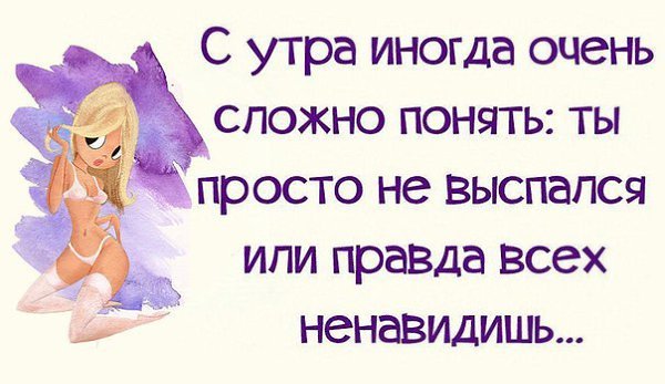 Утро красит нежным светом лица